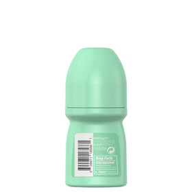 Pack of four Mitchum Invisible Roll-On bottles ready for daily use.