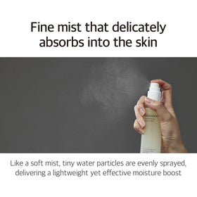Soybean extract in Mixsoon Bean Balancing Ampoule Mist highlights plant-based nourishment