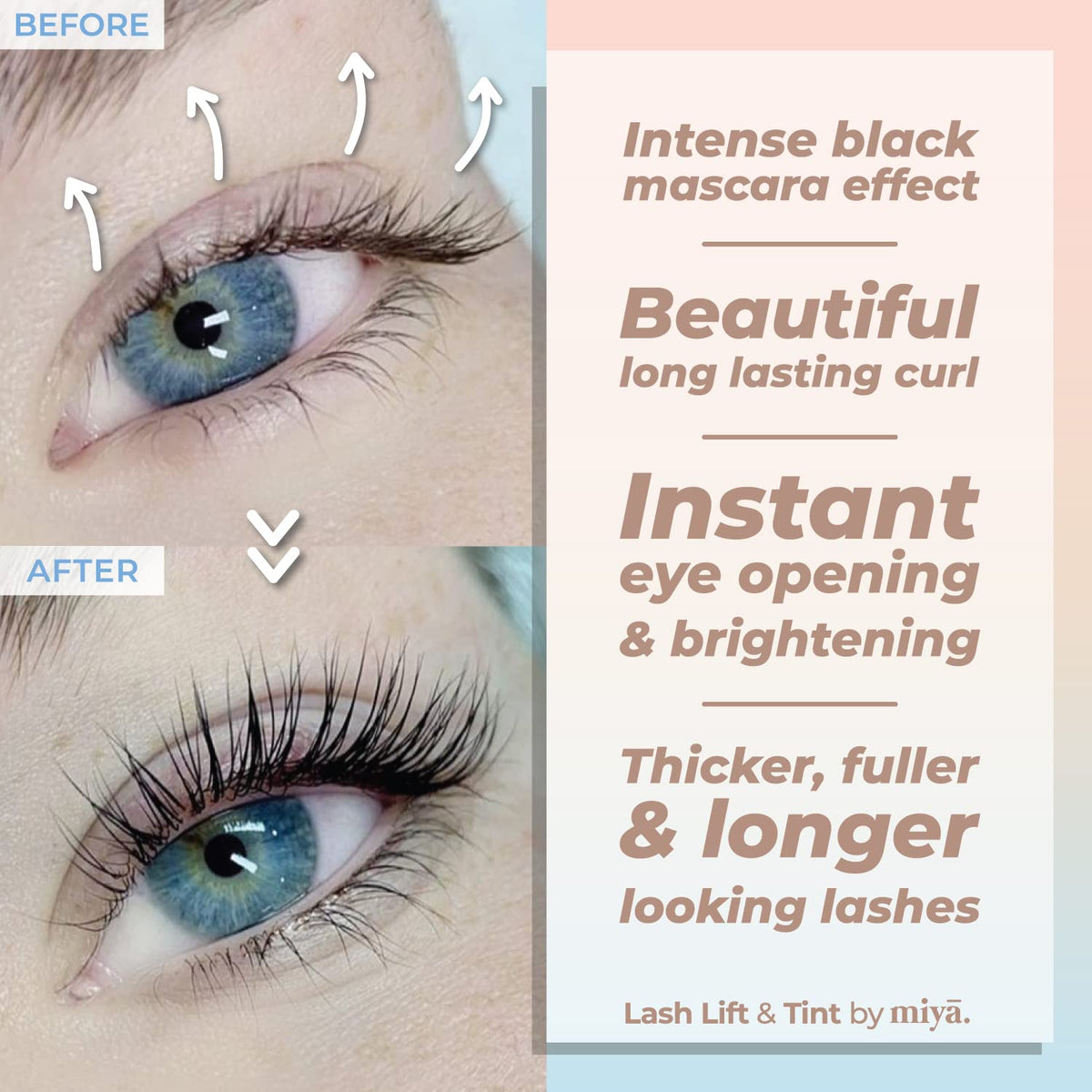Miya Lash kit applicators and brushes for precise lash lift
