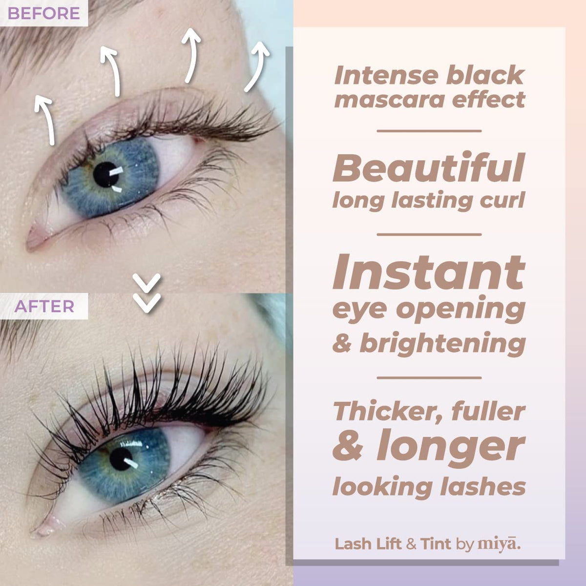MIYA LASH applicators ready for precise lash and brow treatment.