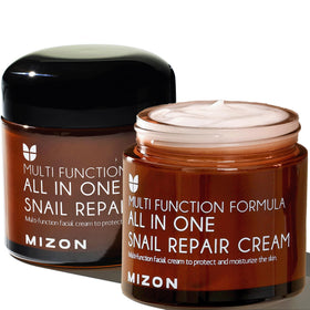 MIZON All-in-One Snail Repair Cream bottle for daily hydration.