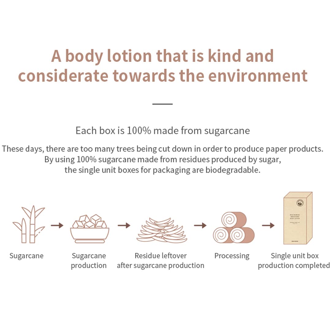 MIZON Biodegradable packaging sugarcane box emphasizes sustainable design.