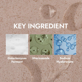 MIZON Skin Power Original First Essence ingredients highlight filtrate benefits