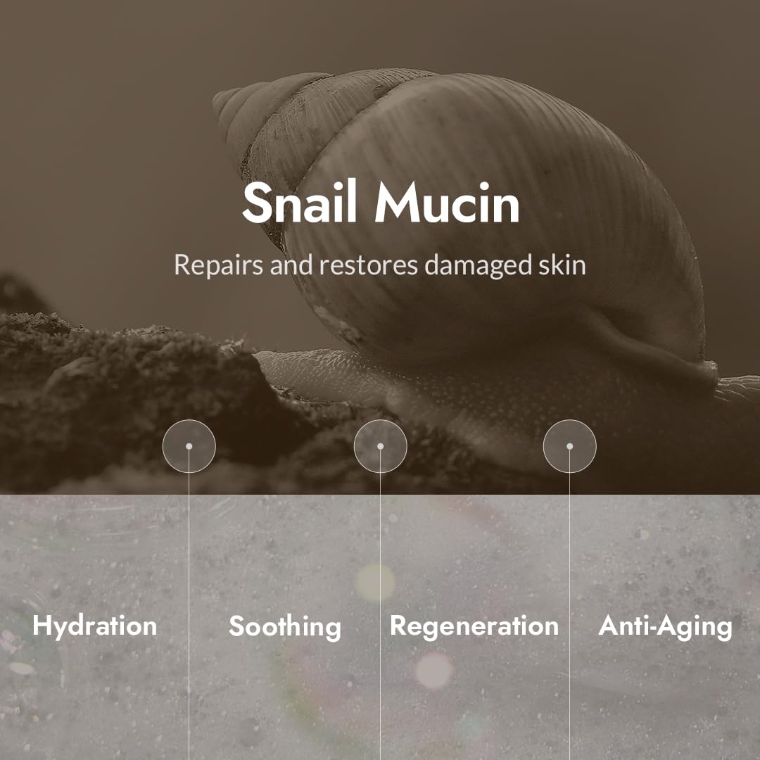 MIZON Snail Repair Intensive Toner close-up highlights fast absorption for renewed skin