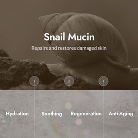 MIZON Snail Repair Intensive Toner close-up highlights fast absorption for renewed skin