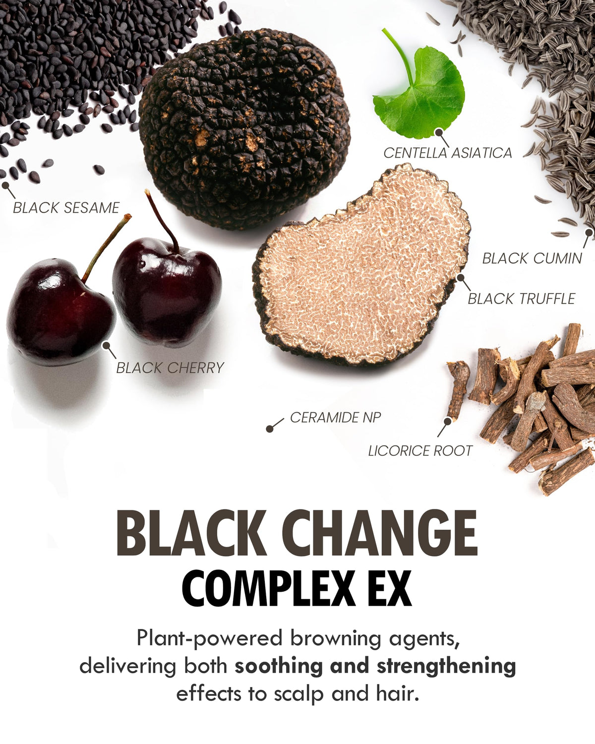 MODA MODA Zero Gray Black Shampoo packaging highlights light and oxygen shielding tech.