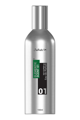 Molecule Scent 01 Elementic Scent 01 packaging—premium aluminum bottle designed for lasting freshness.