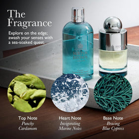 Molton Brown conditioner pour illustrates coastal marine notes and fresh fragrance
