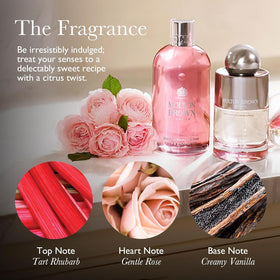 Closeup of Molton Brown Aroma Reeds stems releasing a bright citrus and floral fragrance in a living room