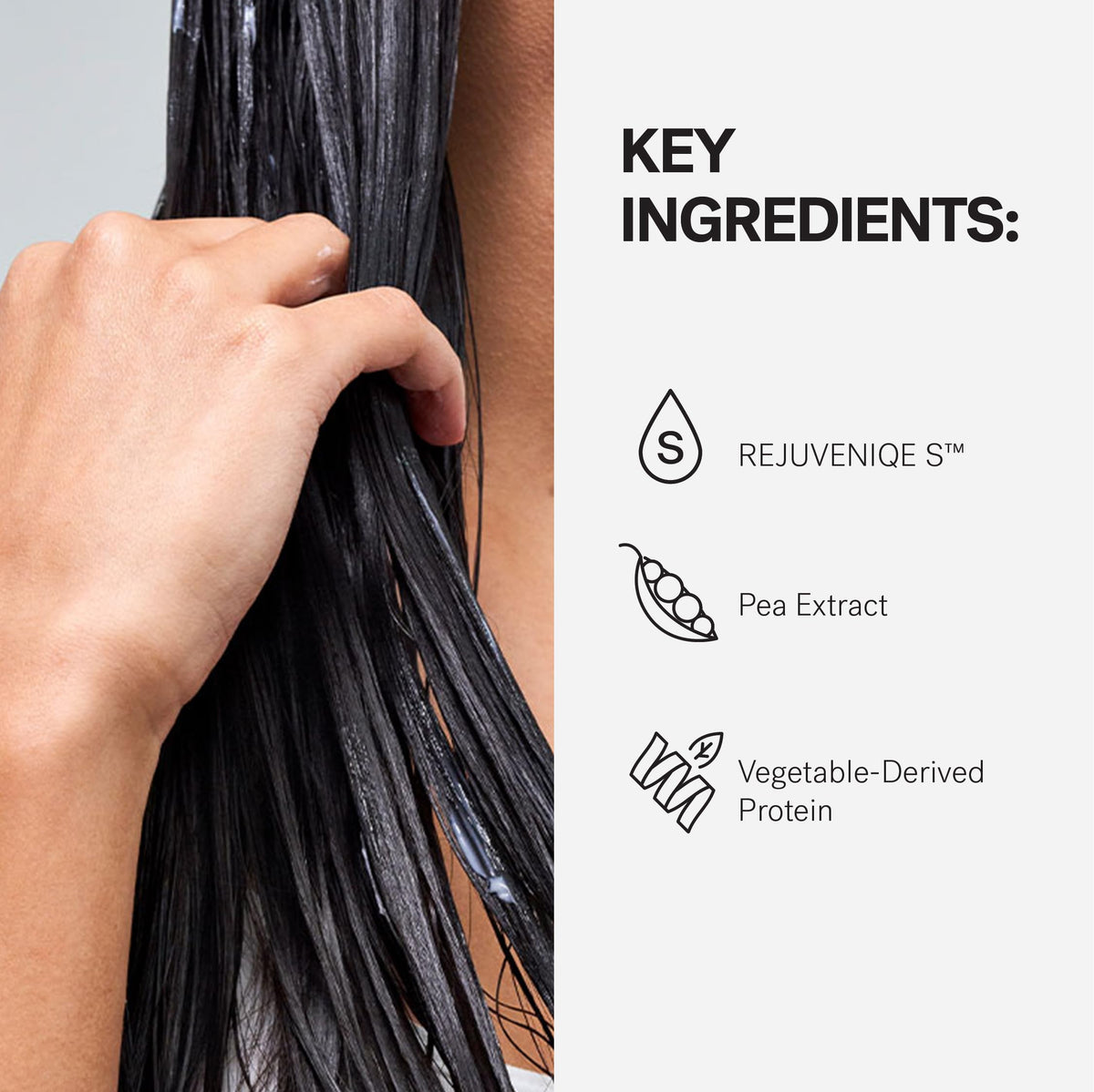 MONAT Red Algae Extract visual emphasizing moisture and strength