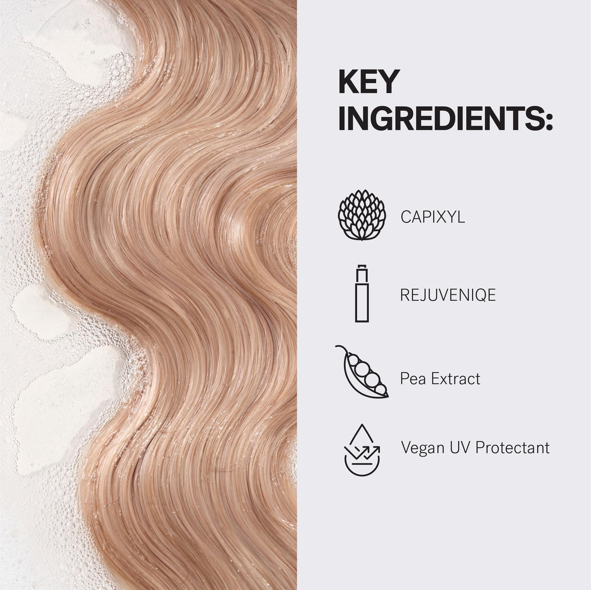 MONAT Renew set with color-safe label for color-treated hair.