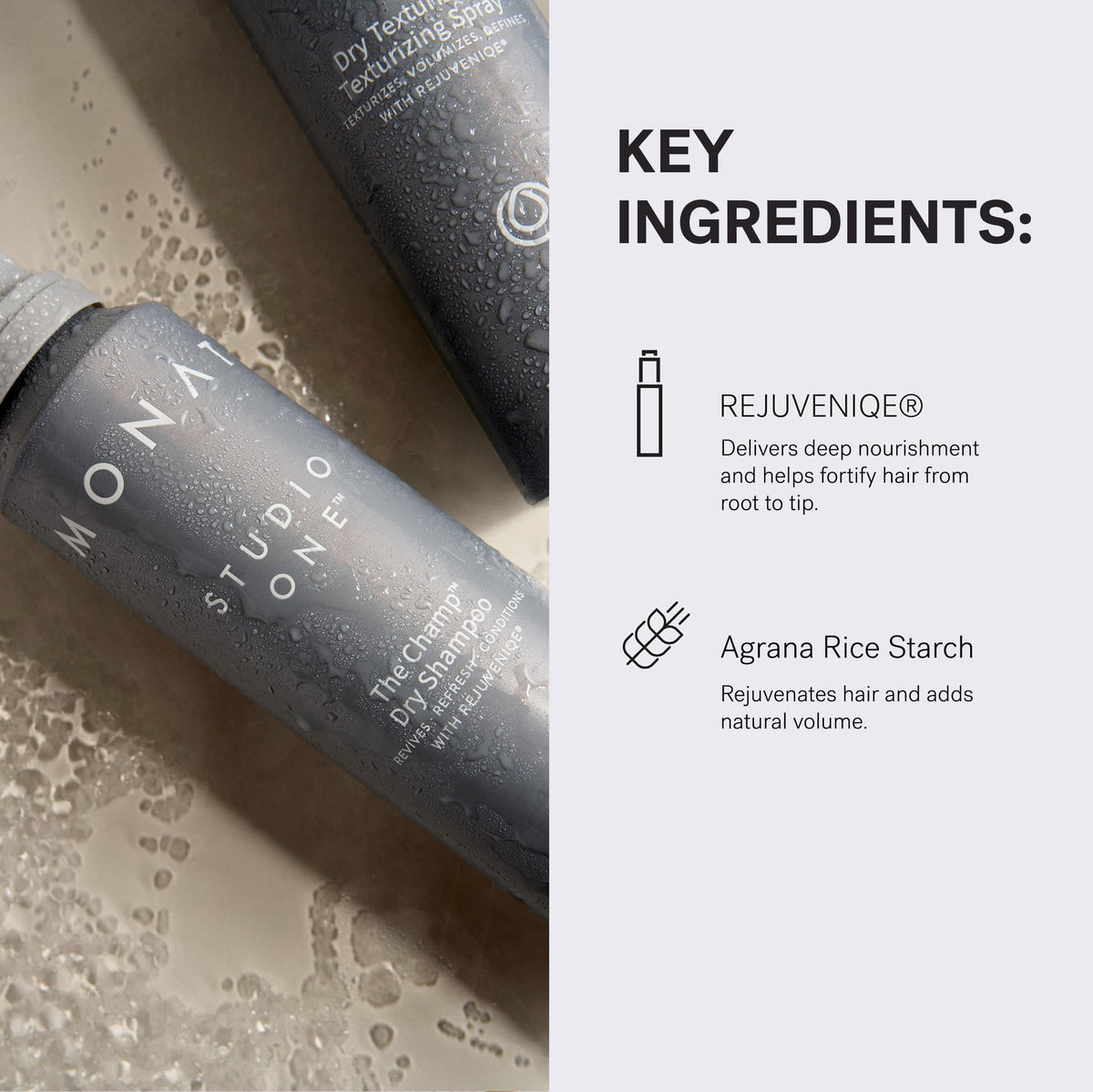 MONAT The Champ absorbs oils and impurities at the roots.