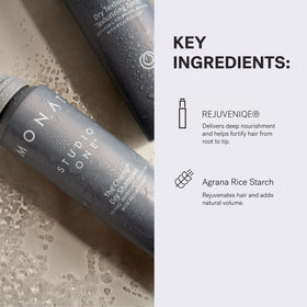 MONAT The Champ absorbs oils and impurities at the roots.