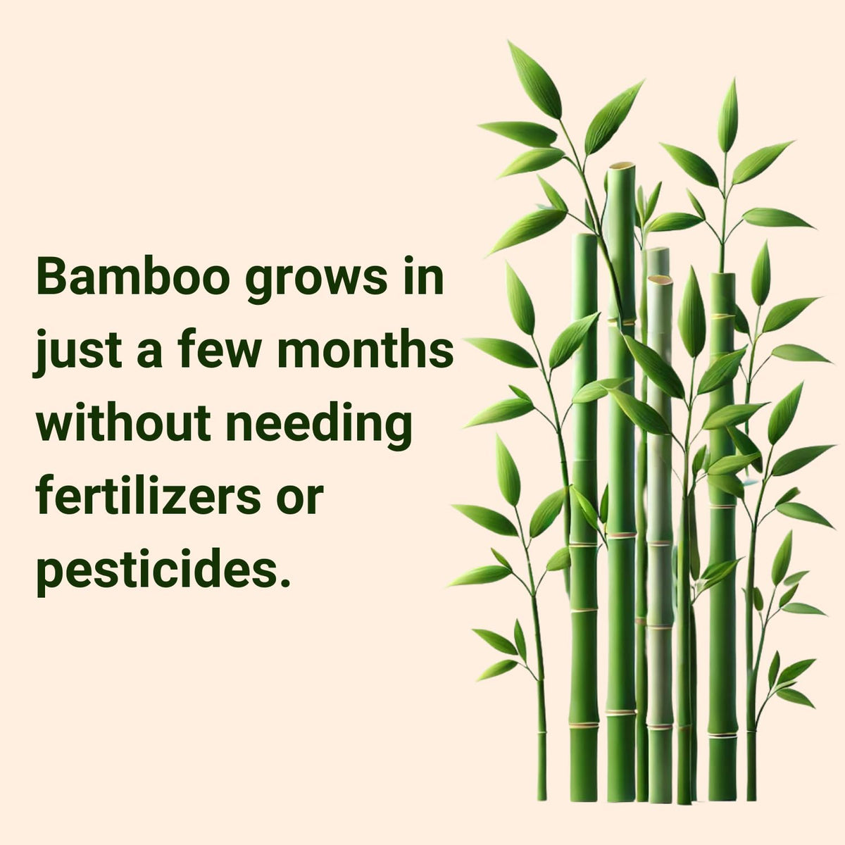 Mother Earth Bamboo Face Towels XL hypoallergenic design protecting sensitive skin.