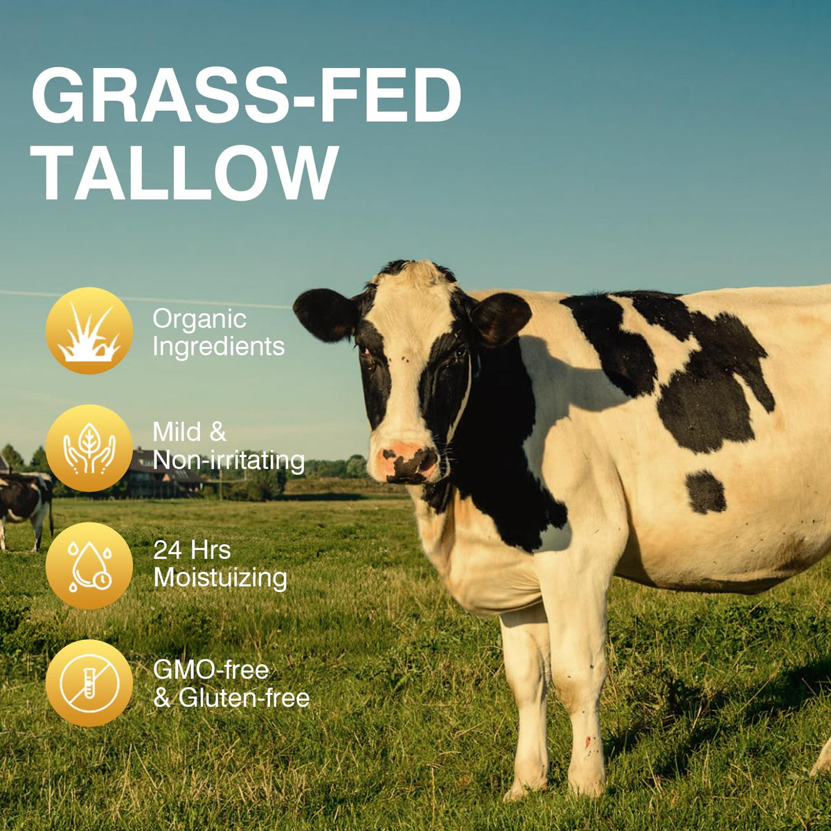 MROUVIK beef tallow body moisturizer absorbed quickly with non-greasy feel.