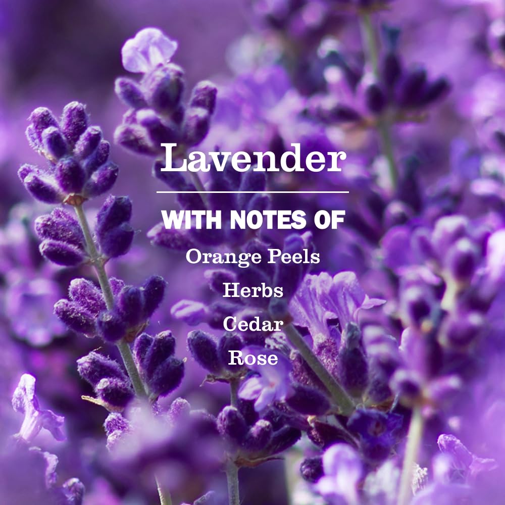 Mrs. Meyer's Clean Day Peony bottle presents a gentle floral scent for refreshed hands.