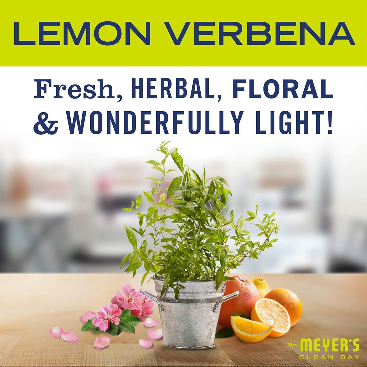 Packaging and label art for Lemon Verbana scent on shelf