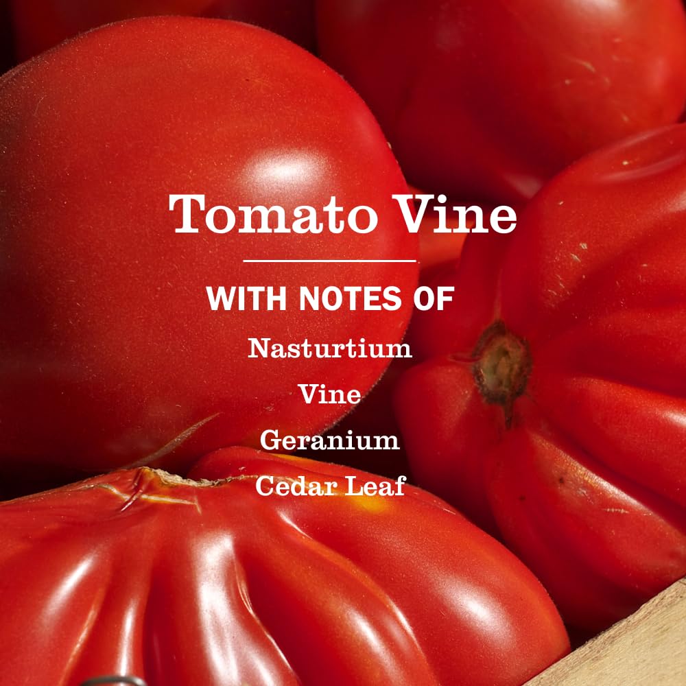 Mrs. Meyer's Tomato Vine scent visuals echo garden freshness to refresh rooms