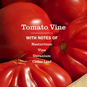 Mrs. Meyer's Tomato Vine scent visuals echo garden freshness to refresh rooms