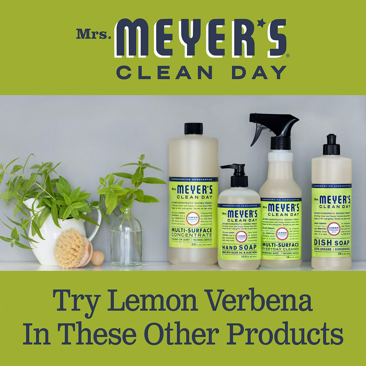 Product label clearly communicates ingredients and benefits on the shelf.