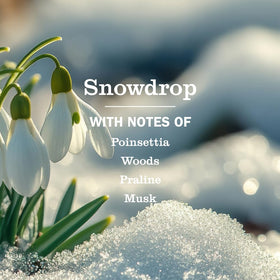 Mrs. Meyer's Snowdrop hand lotion cream texture reveals rich moisture without residue.