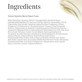 Close-up of bilberry seed oil indicates omega-3 and omega-6 support for barrier health.