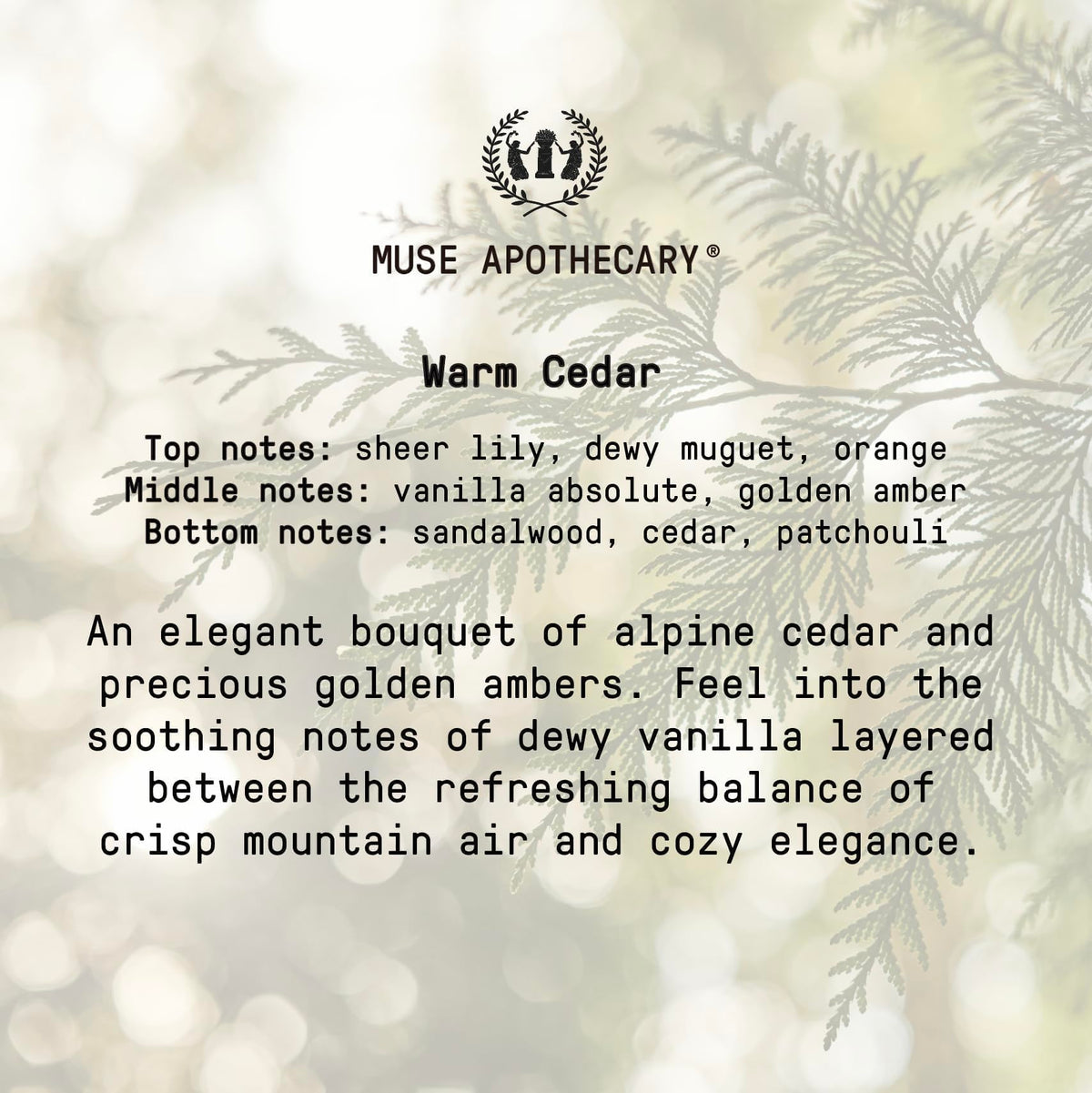 Foamy lather swirls on hands, revealing nourishing formula in Muse Apothecary Hand Ritual.