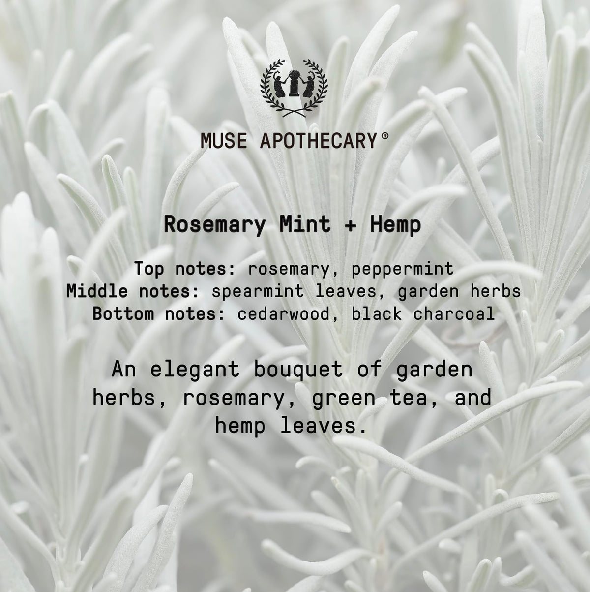 Muse Apothecary Hand Ritual gift-ready presentation for gifting.