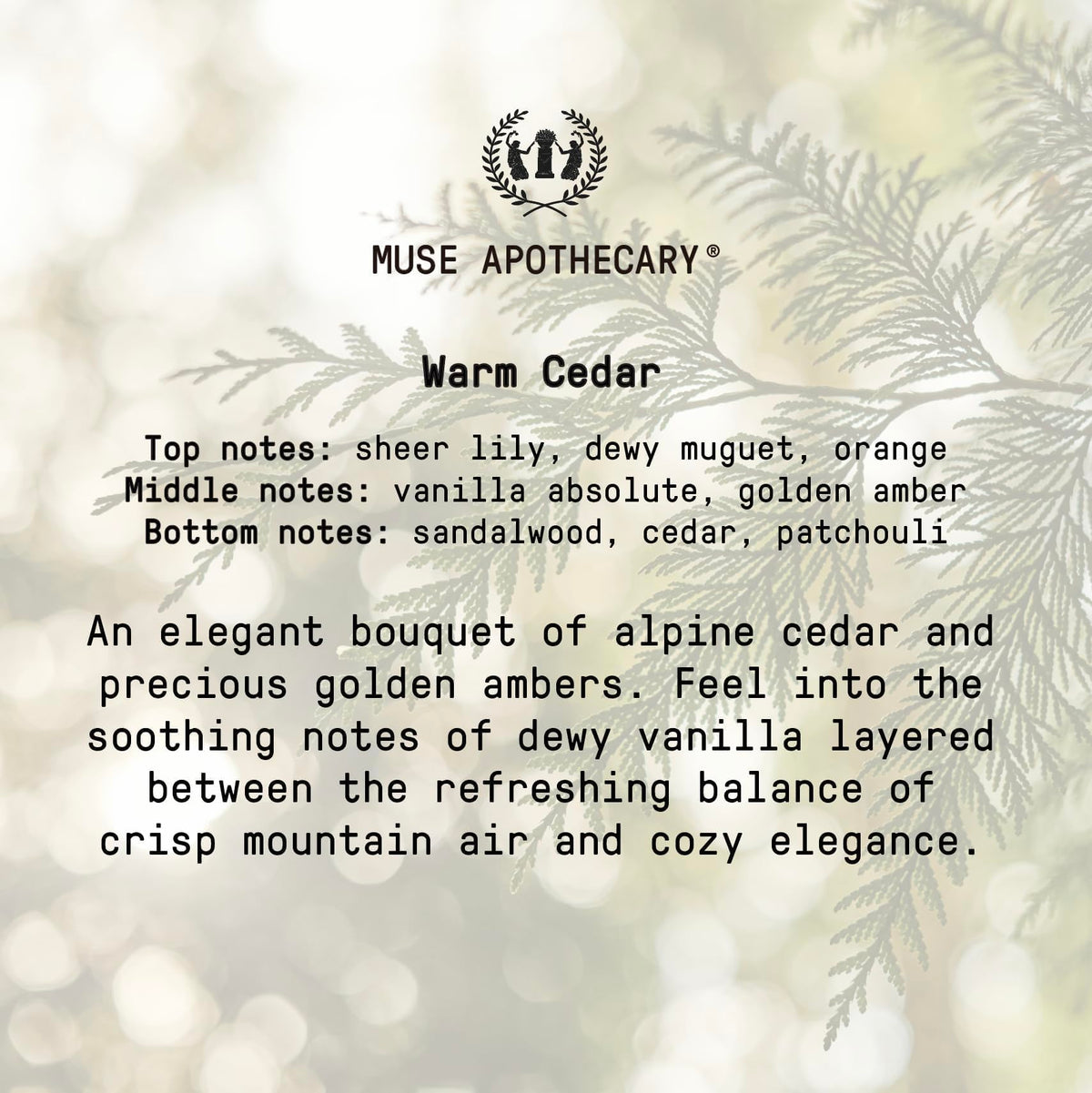 Muse Apothecary Hand Ritual in-use demonstrates a gentle cleansing ritual