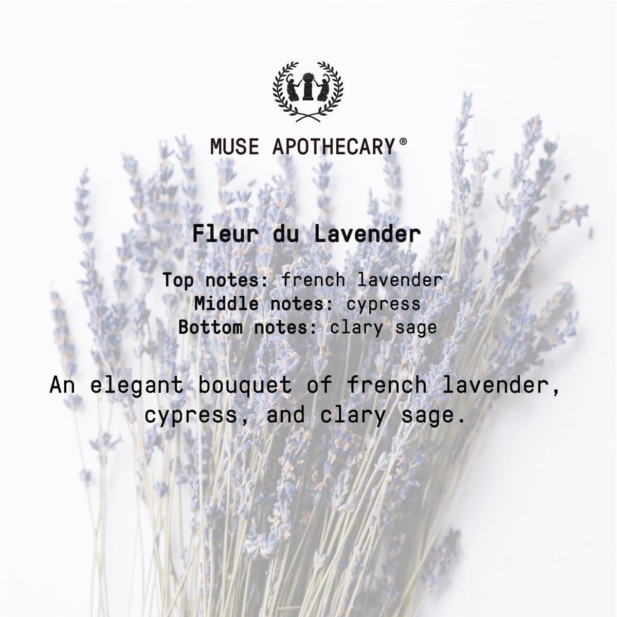 Muse Apothecary Hand Ritual USA-made formula showcases premium quality components.