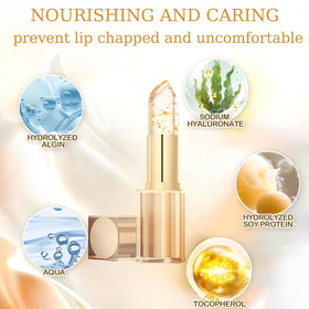 MVC moisturizing lip gloss focuses on hydrated lips with nourishing oils