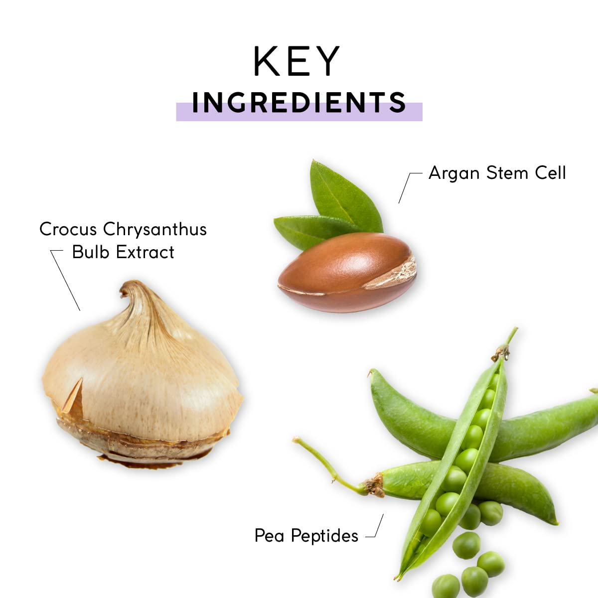MyCHELLE Peptide+ Serum flat lay with product and ingredients.