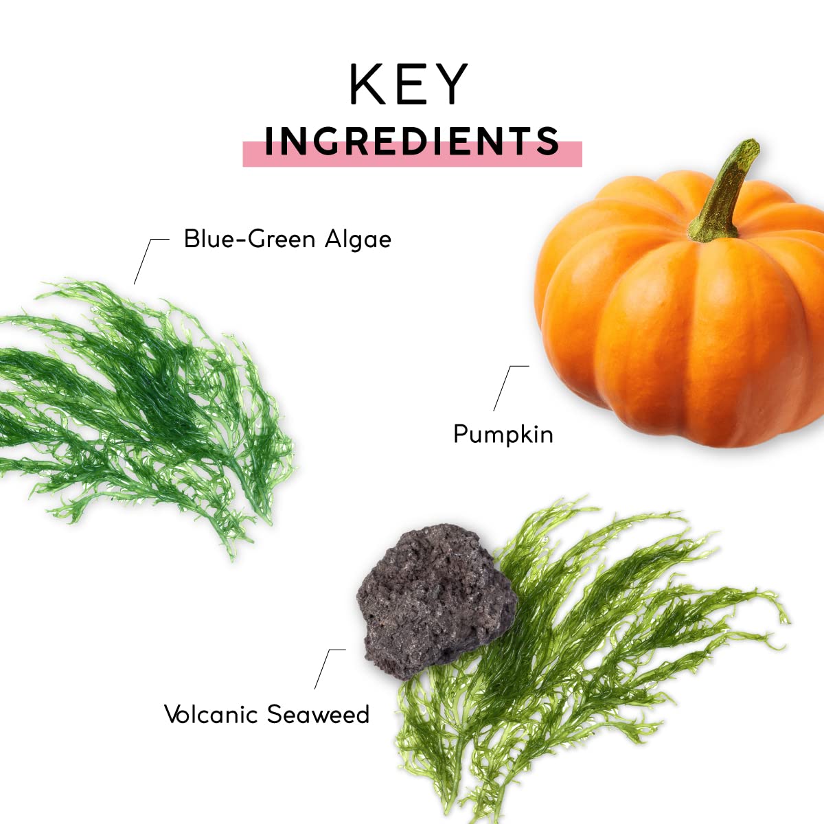 MyCHELLE Pumpkin Cleanser packaging highlights cruelty-free and vegetarian skincare
