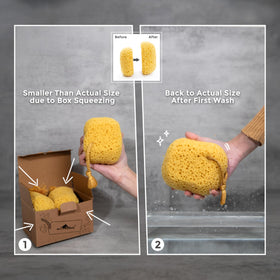 MyHomeBody body scrubber for shower promotes gentle scrubbing and deep cleansing.