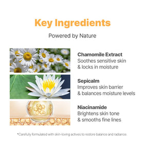 NACIFIC Fresh Herb Origin ingredients leaf highlighting natural botanicals for skin support.