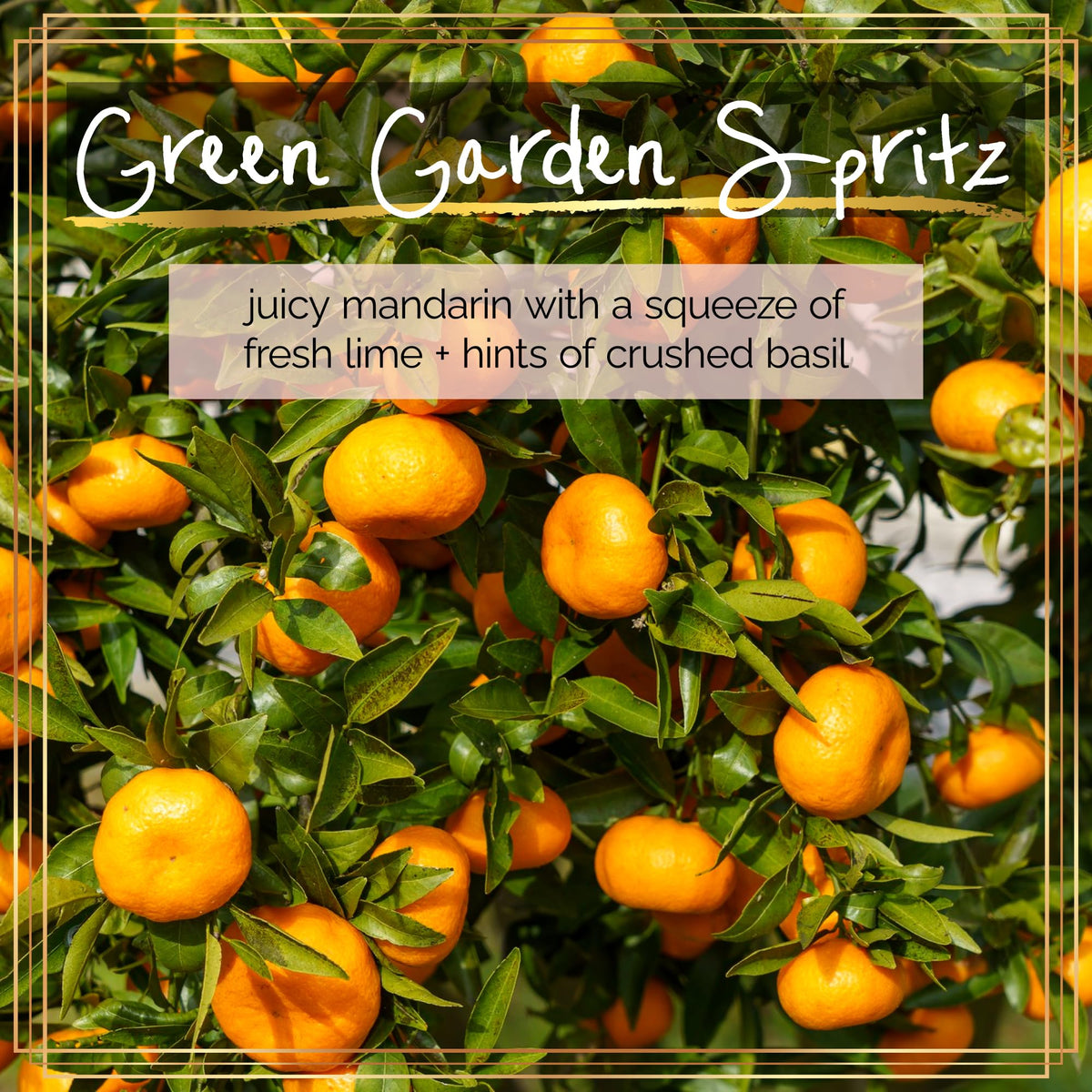 Visual of scent notes mandarin lime and basil for Nakery Green Garden