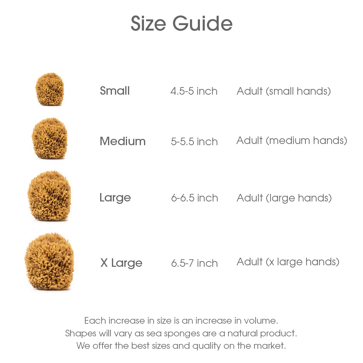 Naroa natural sea sponge for glow skin; promotes a fresh, radiant look.