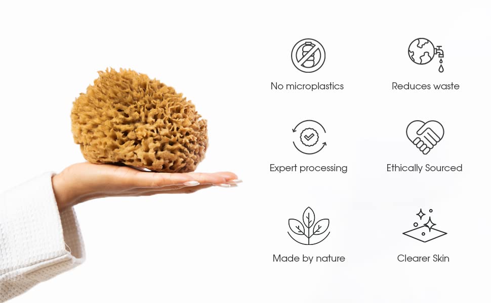Naroa Soft Natural Sponge textured surface for gentle exfoliation and glow.