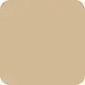 NARS Natural Radiant Longwear Foundation Punjab swirl blend demonstrates seamless blendability.