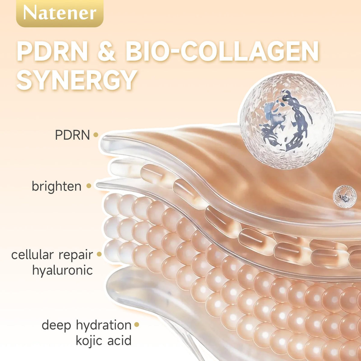 Natener PDRN 3D hydration-lock network promotes moisture retention.