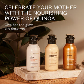 Close-up of quinoa oil drops from NATIVA SPA formula
