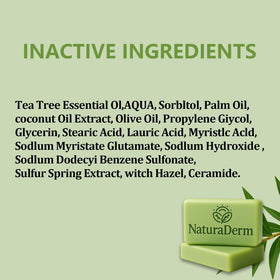 Natura Derm Tea Tree Oil Facial Soap tea tree essence image emphasizes natural care.