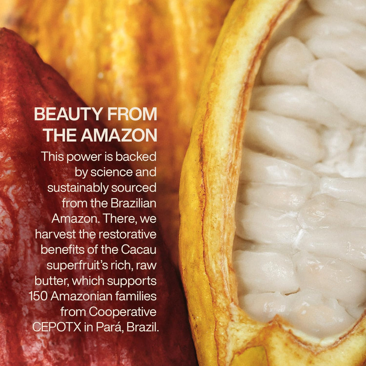 Natura Ekos Cacau hand cream absorbs quickly without greasy residue.