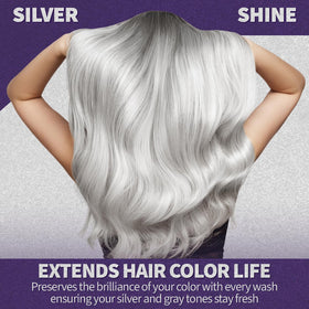 Natural Riches Radiant Silver Shine vanity shot with glossy silver hair look