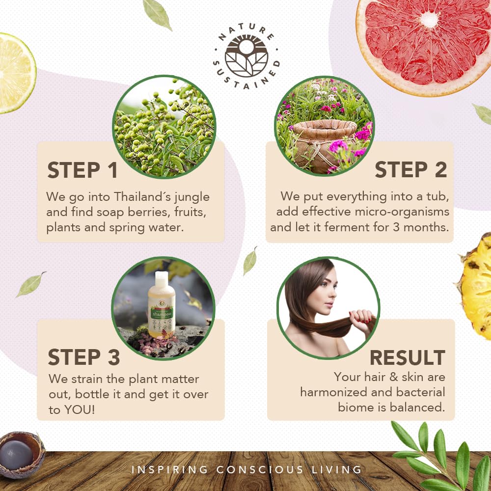 Soapberry and pomelo illustration suggesting natural conditioning benefits for hair.