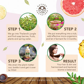 Soapberry and pomelo illustration suggesting natural conditioning benefits for hair.