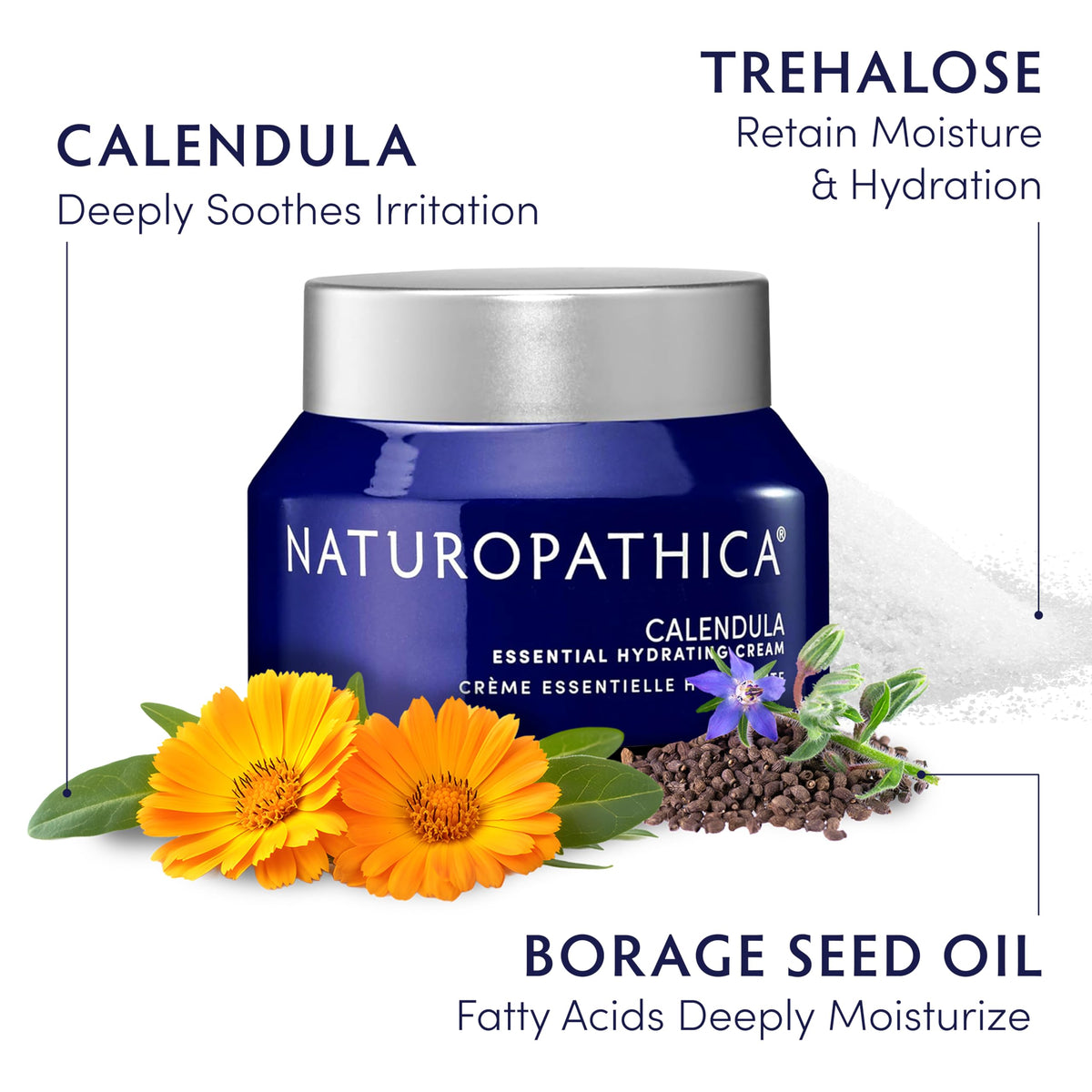 Naturopathica Calendula Essential Hydrating Cream packaging on shelf emphasizes clean beauty