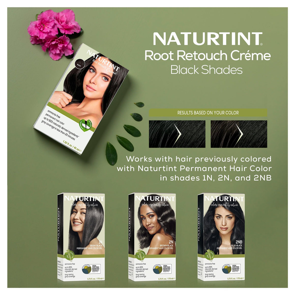 Naturtint Black Root Retouch Crème applied to roots for a seamless blend.