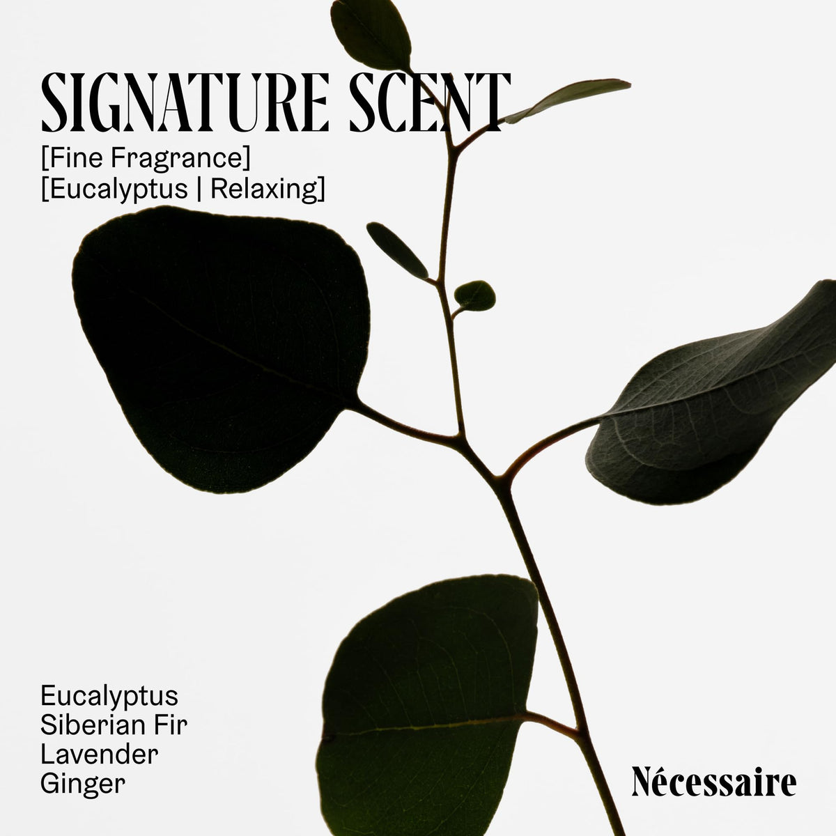 Nécessaire dermatologist-tested hypoallergenic formula ideal for sensitive skin.