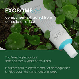 NEOGEN by DERMALOGY Exosome Cream ingredients panel emphasizes peptides and vitamins
